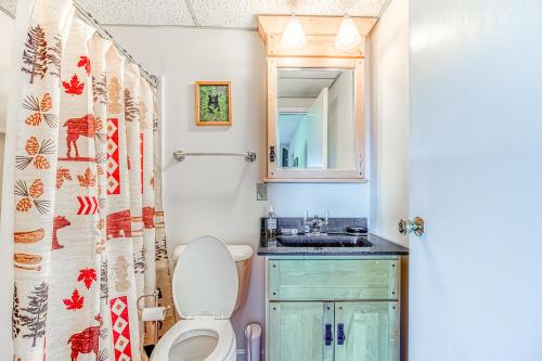 a bathroom with a toilet and a sink and a mirror at Squaw Village Condo in Greenville