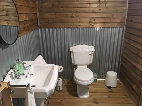 a bathroom with a white toilet and a sink at Wingfield Escapes in Diss