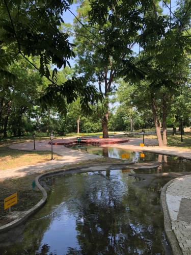 a pool of water in a park with trees at Hotel Spa Grad in Kovin