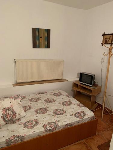 - une chambre avec un lit et un ordinateur portable sur une table dans l'établissement Casa Pitaru, à Calafat