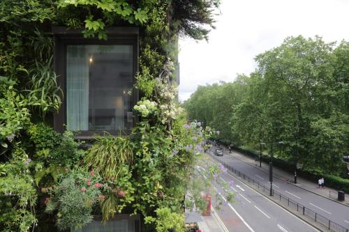 The Athenaeum Hotel & Residences photo 50