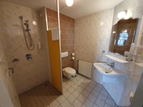 uma casa de banho com um lavatório, um WC e um chuveiro em Landgoed Ehzerwold em Almen