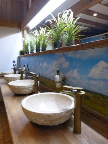 una fila de tres lavabos en un baño con plantas en NATURAMA BEILNGRIES - Naturparkcamping und Fasshotel, en Beilngries