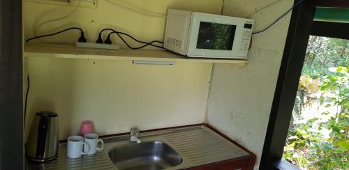a kitchen with a sink and a microwave on a shelf at Gap Creek Cabin in Ayton
