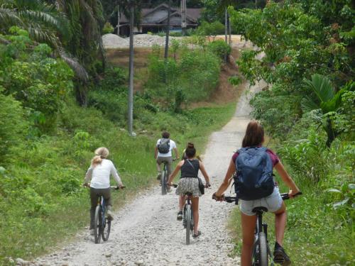 a group of people riding bikes down a dirt road at AMBOW Homestay Jungle Trekking & Village Tour in Bukit Lawang