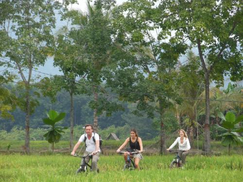 a group of people riding bikes in the grass at AMBOW Homestay Jungle Trekking & Village Tour in Bukit Lawang