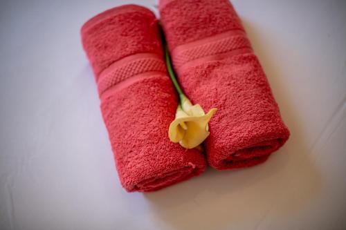 - la fermeture de deux serviettes rouges avec une fleur sur elles dans l'établissement MAMAC VIEW NICE, à Nice