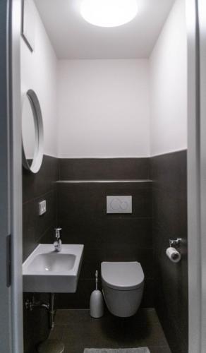 a bathroom with a white toilet and a sink at Ferienwohnung Seeblick Lausitzer Seenland in Großräschen