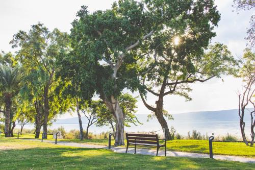 a park bench in a park with a view of the ocean at Ein Gev Holiday Resort in En Gev