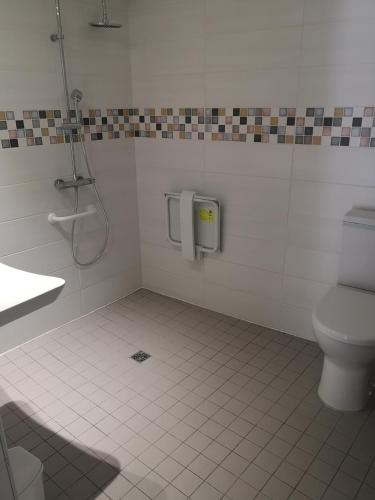 a bathroom with a shower and a toilet at La Petite Ecole in Marciac