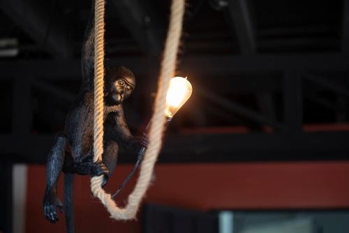 a monkey sitting on a rope with a light at Villa San Ignacio in Alajuela City