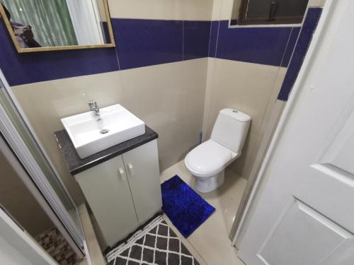 a small bathroom with a sink and a toilet at The Zion Hill in East London