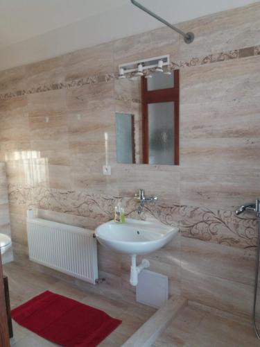 a bathroom with a sink and a mirror at Apartmány Sedmikráska in Tehovec