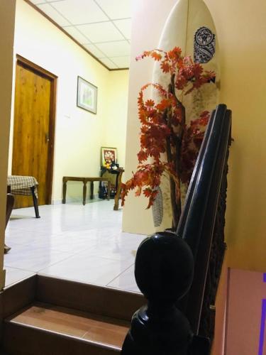 a room with a surfboard and a plant on the wall at Lasindu Guest in Ahangama