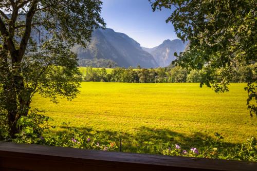 a field of green grass with mountains in the background at Starbauer in Golling an der Salzach