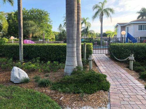 a palm tree next to a brick walkway at Captiva Beach Resort (open private beach access) in Sarasota