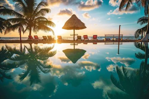 a pool with palm trees and chairs and the ocean at Hopkins Bay Belize a Muy'Ono Resort in Hopkins