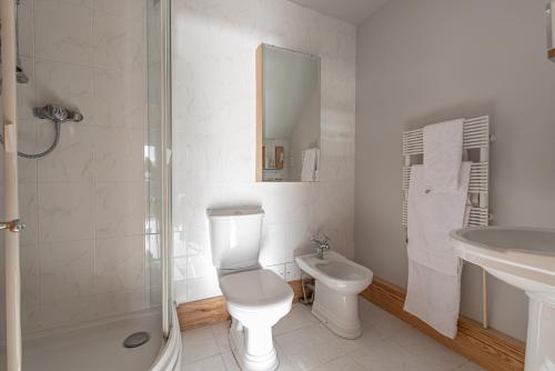 y baño con aseo, lavabo y ducha. en Coed y Berclas guest room, wonderful view, en Llandegfan
