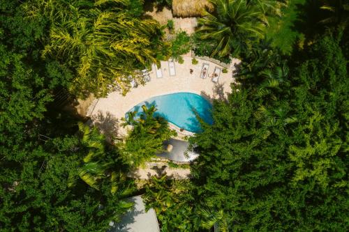 Πισίνα στο ή κοντά στο Copal Tree Lodge a Muy'Ono Resort