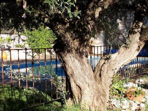 La Cartagène - Chambre double