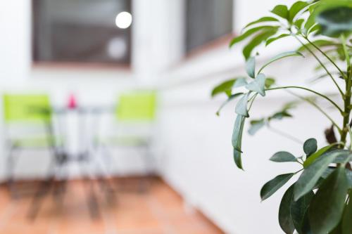 Geysotur Porta Novas Home