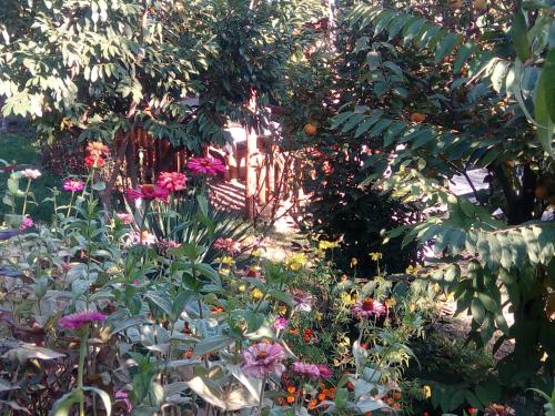Koghb Hillside B&B – Photos 5