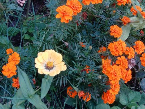 Koghb Hillside B&B – Photos 4