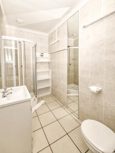 a bathroom with a shower and a toilet and a sink at Mermaid Guest House in Struisbaai