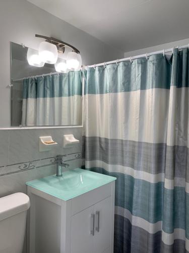 a bathroom with a shower curtain and a sink at International Inn on the Bay in Miami Beach