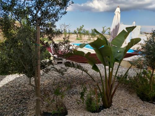 Piscina en o cerca de Four Winds Farmhouse