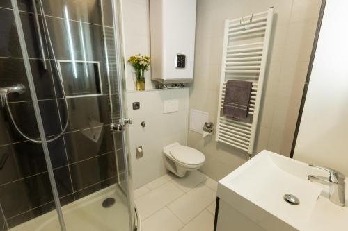 a bathroom with a shower and a toilet and a sink at Apartmány Stožec - Stela Premium in Stožec