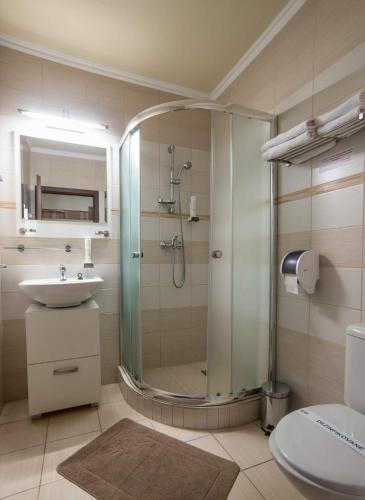 a bathroom with a shower and a sink and a toilet at Corvin Pension and Restaurant in Veľký Meder
