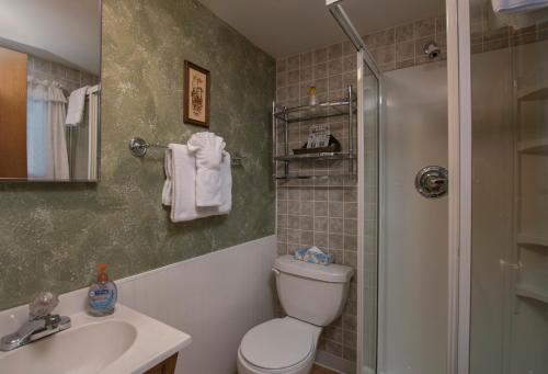 a bathroom with a toilet and a sink and a shower at Swiftcurrent Lodge in Estes Park