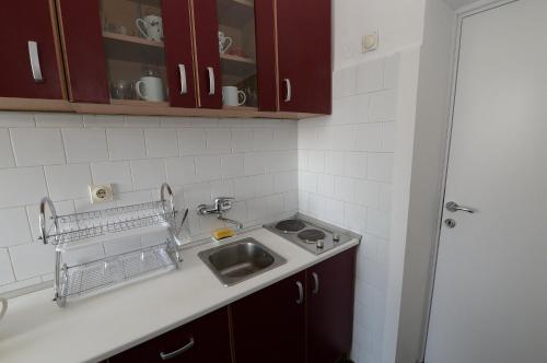 eine Küche mit Spüle und Arbeitsplatte in der Unterkunft OBILIĆ in Belgrad