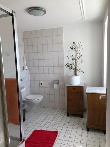 baño con aseo y maceta. en Gasthaus Adler Weilheim Waldshut-Tiengen en Weilheim