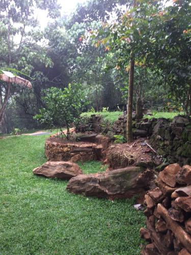 a stone retaining wall with rocks and a tree at Wanakaset Forest Glamping in Kitulgala