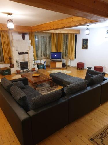 a living room with a couch and a tv at Vila Carla Elena Ranca in Ranca