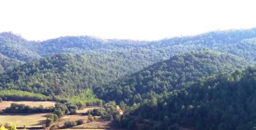 Casa Torralba, El Frago – Updated 2022 Prices