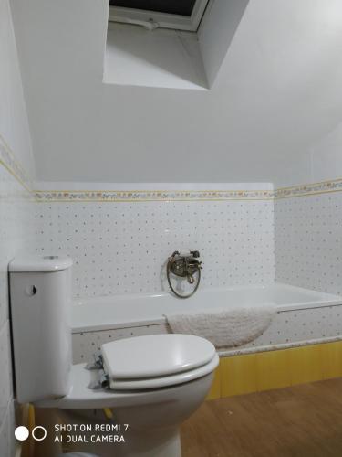 a bathroom with a toilet and a bath tub at Apartamento Las Musas in Santiponce