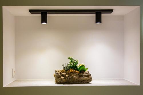 a plant sitting on a shelf under two lights at Villa Umberti in Sibiu