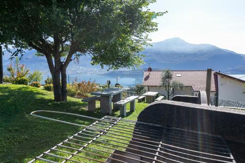 a park with benches and a table and a tree at La Collina degli Ulivi in Vercana