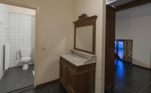 RichelleにあるApartments Cour d'Aixの洗面台とトイレ付きのバスルーム