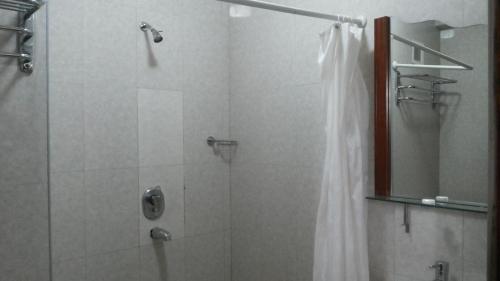Bilik mandi di Palema Crown Hotel