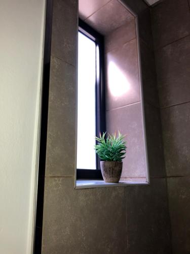 a potted plant sitting on a window sill at Departamento boutique en nueva cordoba in Córdoba