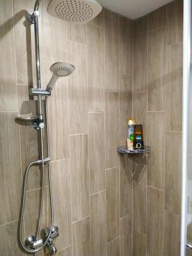 a shower with a shower head in a bathroom at Rocks View Dream House in Kalabaka