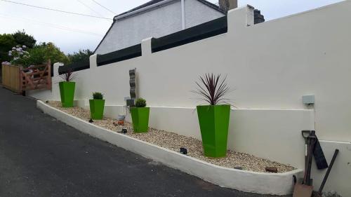 a row of potted plants on the side of a building at Bacchus in Mevagissey