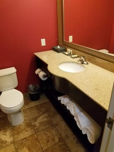 a bathroom with a toilet and a sink with a mirror at La Quinta by Wyndham Atlanta Union City in Union City