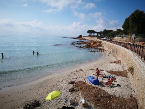 Photo de la galerie de l'établissement barbiccaja, à Ajaccio