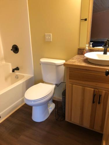 a bathroom with a white toilet and a sink at Blue Moon Resort & Motel in Hill City