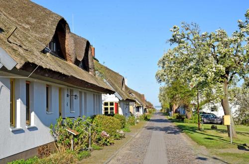 a cobblestone street in a village with houses at Ferienwohnungen im Fischerdorf und in Neu Reddevitz